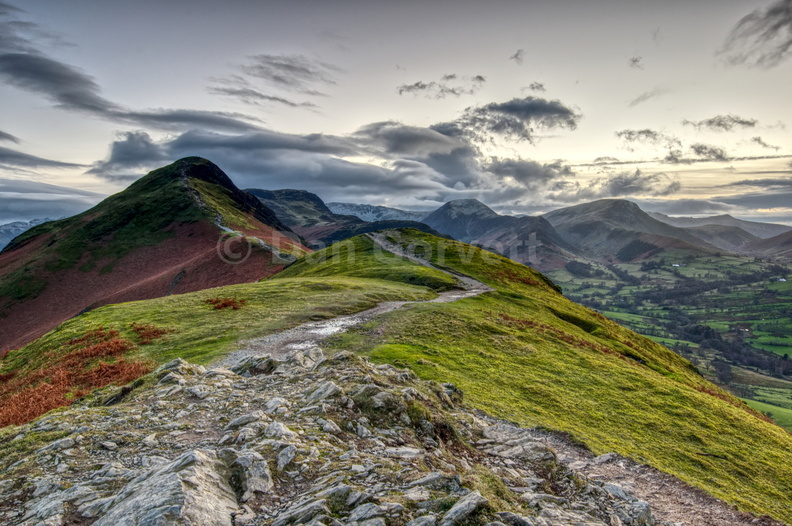 Catbells glory web.jpg