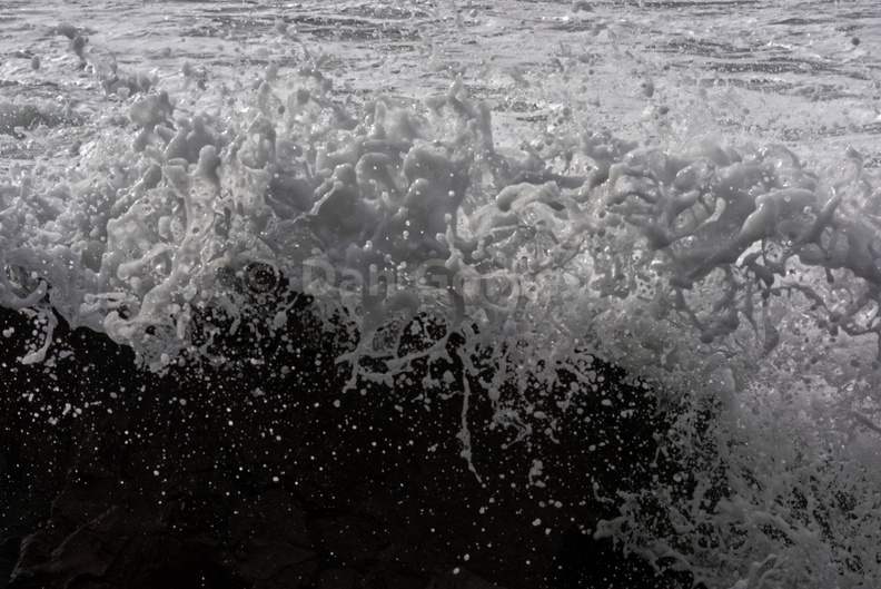 splash 3 web.jpg