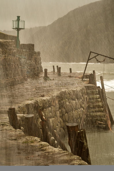 Through the storm 2 web.jpg